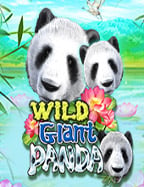 เล่นสนุกกับ slot cat 777dเว็บ พนัน 38 ที่คุณต้องลอง